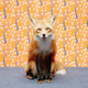 Illustration for article titled An open thread for your fan fic about the glorious library fox